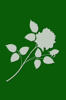 Flower Green, par Xavier E. G. Dierick